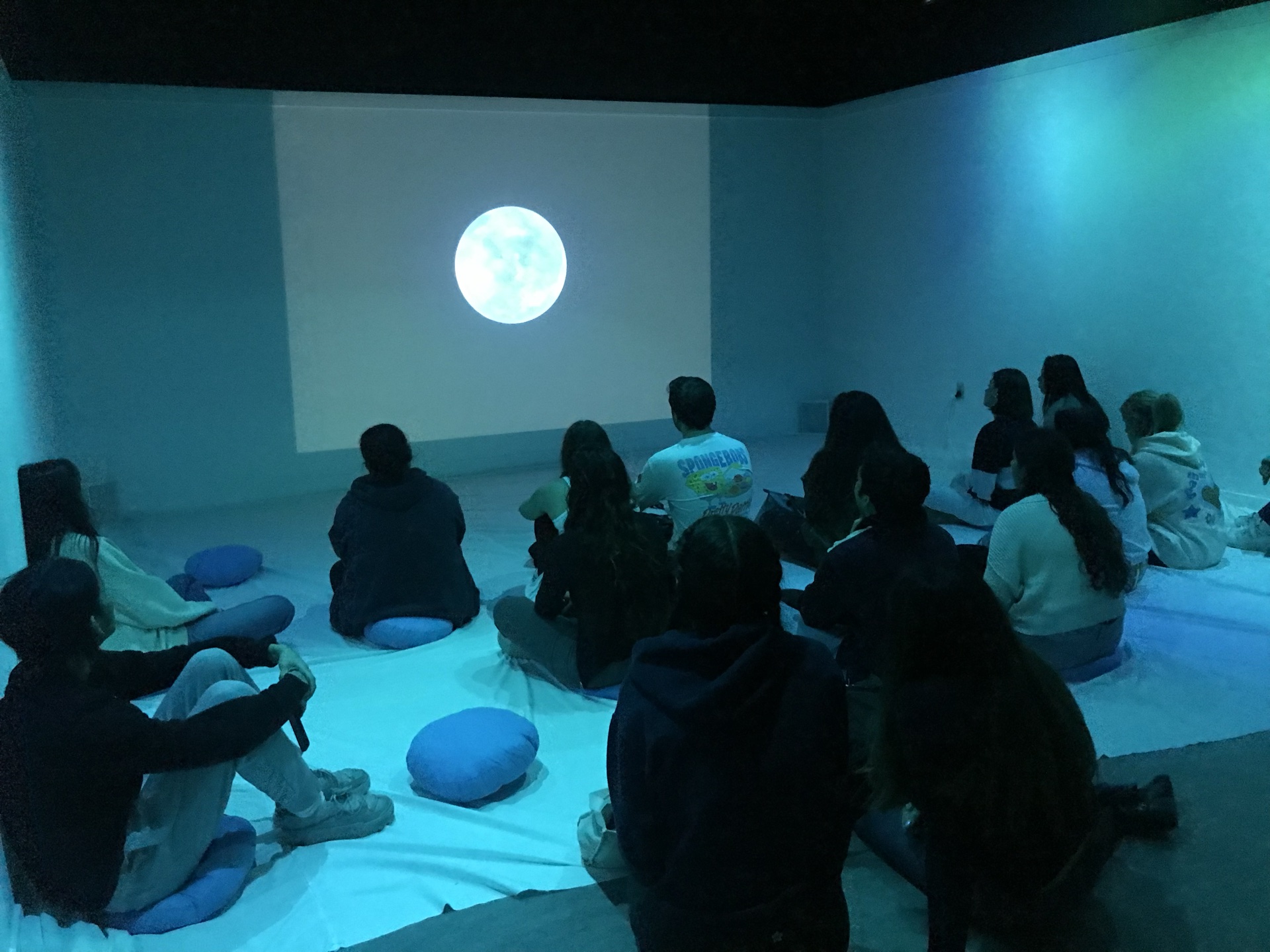 The Beauty installation view 4
